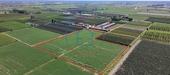  Land in Castelbaldo, Italy No. 327221 8