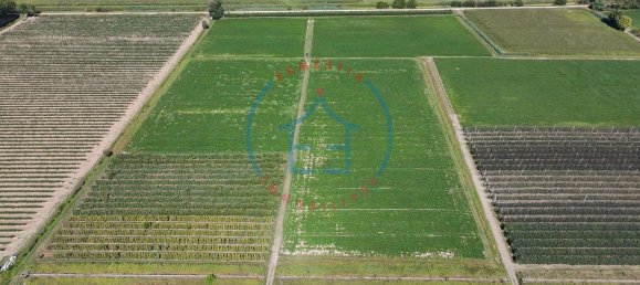  Land in Castelbaldo, Italy No. 327221 17