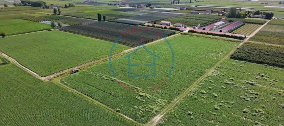  Land in Castelbaldo, Italy No. 327221 5