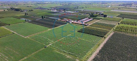  Land in Castelbaldo, Italy No. 327221 9