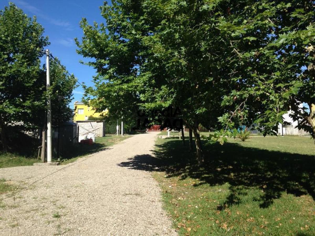  Land in Campo Creado, Argentina No. 36723