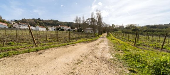 Casa de 14 dormitorios en Colares, Portugal No. 144647 5