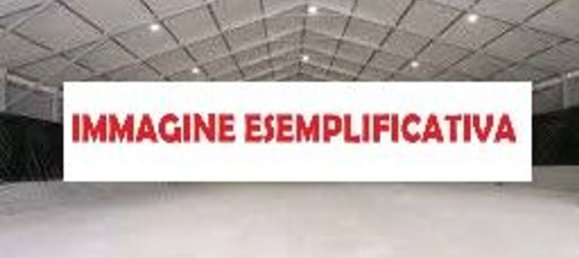 600m² Warehouse in Parma, Italy No. 323537 5