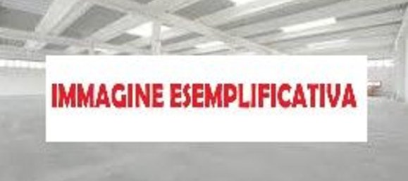 600m² Warehouse in Parma, Italy No. 323537 6