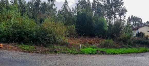 13616m² Land in Vila Nova de Gaia, Portugal No. 59078 4