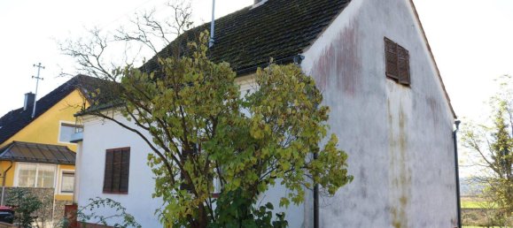 7-Zimmer Haus in Jennersdorf, Austria, Nr. 121853 3