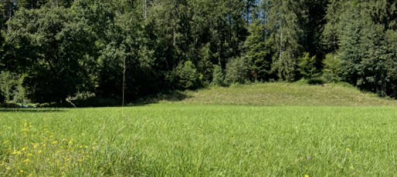 Apartamento de 2 habitaciónes en Bad Tolz-Wolfratshausen, Germany No. 223714 4