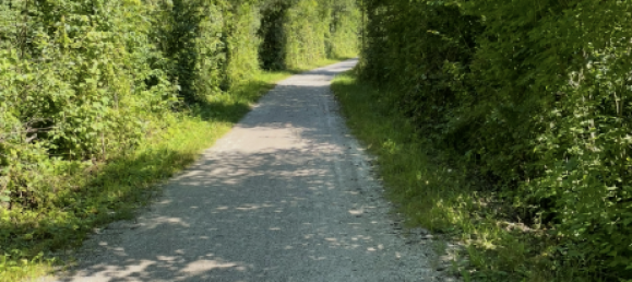 Apartamento de 2 habitaciónes en Bad Tolz-Wolfratshausen, Germany No. 223714 13