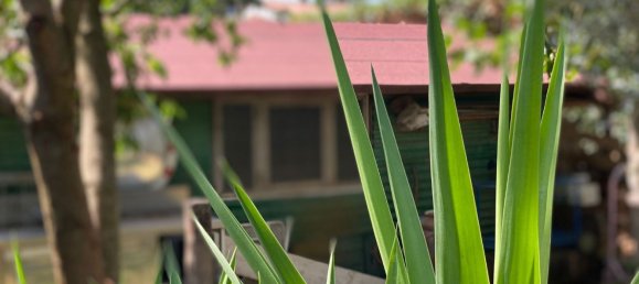 Villa T5 em Grottaferrata, Italy N.º 356451 27