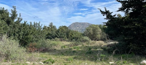 10000m² Hotel in Vamos, Greece No. 2596 2