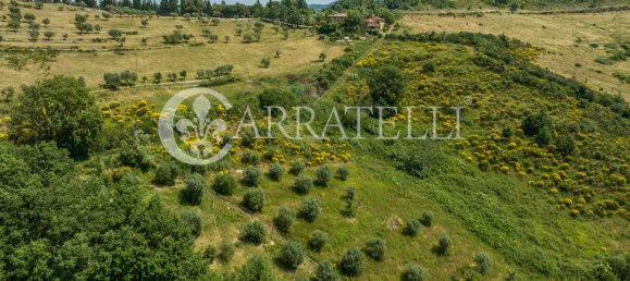 10 chambres Maison à Greve in Chianti, Italy No. 79705 41