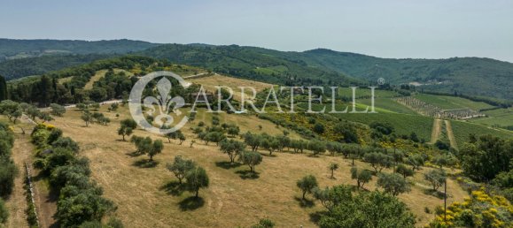 10 chambres Maison à Greve in Chianti, Italy No. 79705 38