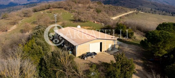 10 chambres Maison à Greve in Chianti, Italy No. 79705 49