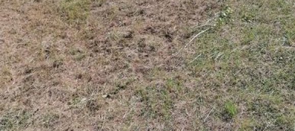 3 Schlafzimmer Haus in Neuvy-le-Roi, France, Nr. 63244 10