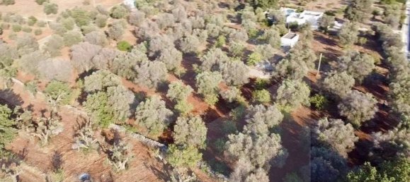 Studio in Ostuni, Italy, Nr. 26604 2