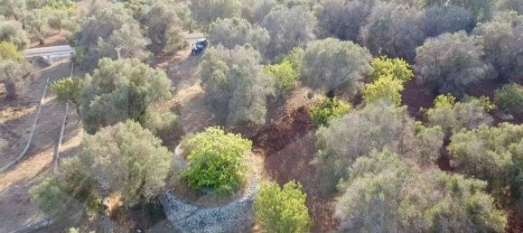 Studio in Ostuni, Italy, Nr. 26604 5