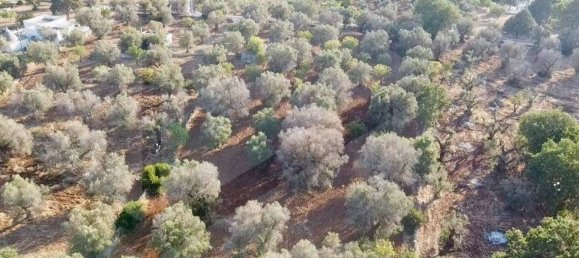 Studio in Ostuni, Italy, Nr. 26604 4