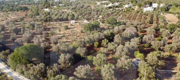 Studio in Ostuni, Italy, Nr. 26604 3