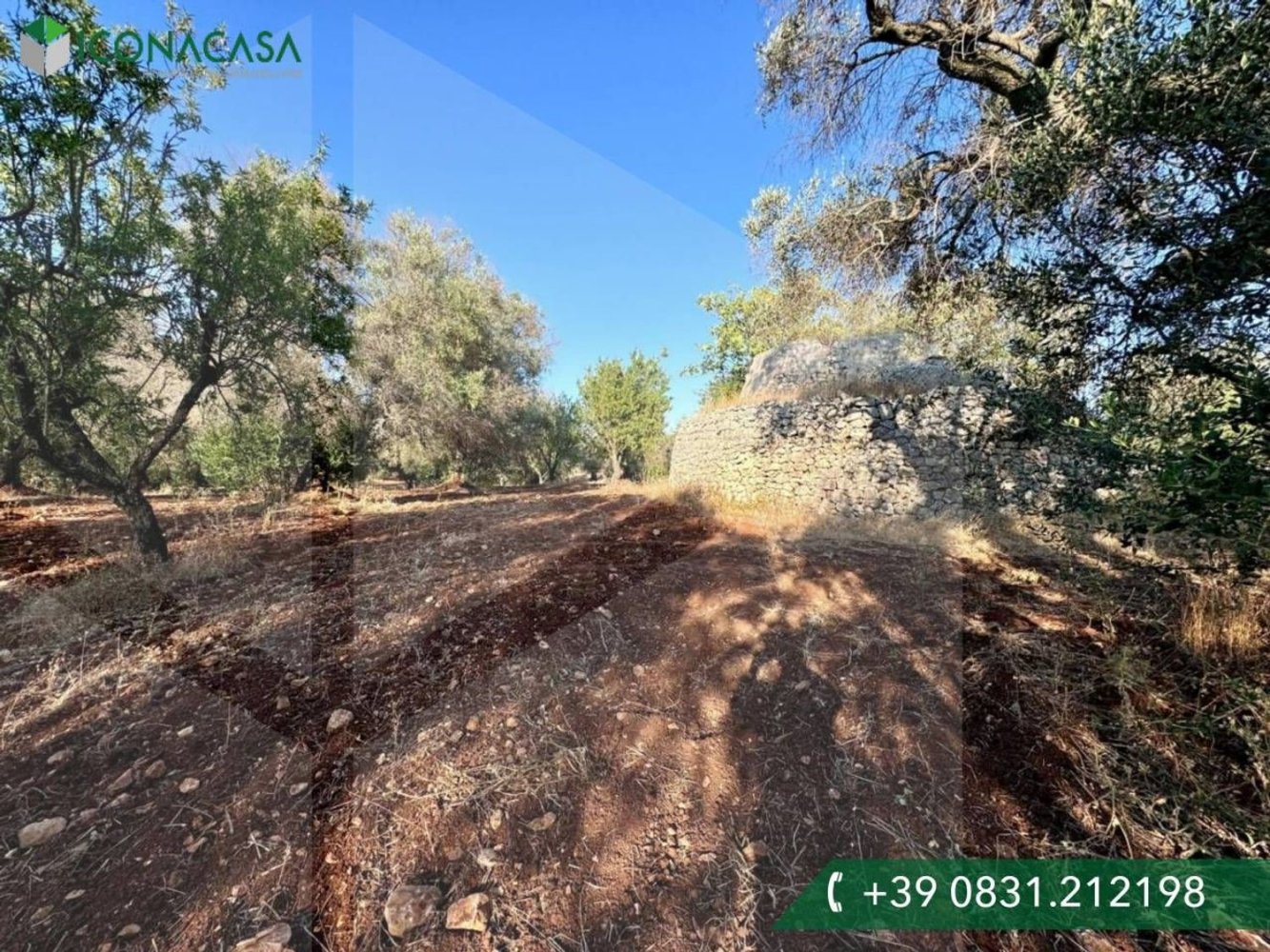 Studio in Ostuni, Italy, Nr. 26604