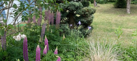  Land in Potsdam, Germany No. 320737 2