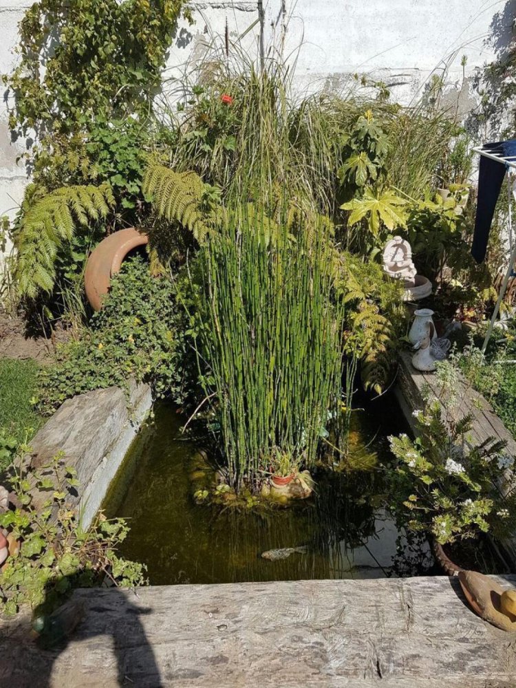 5 bedrooms House in Valparaiso, Chile No. 5087