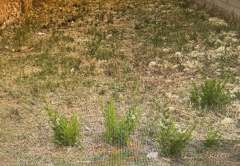 100m² Land in Rute, Spain No. 224028