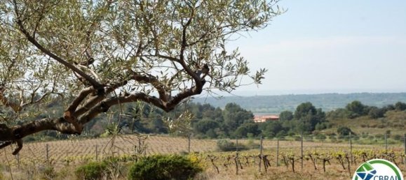 564m² Land in Garriguella, Spain No. 73565 6