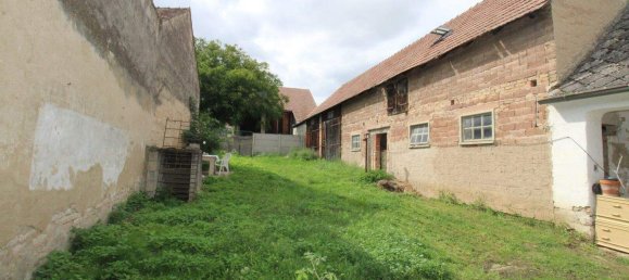 6 rooms House in Jedenspeigen, Austria No. 218541 26