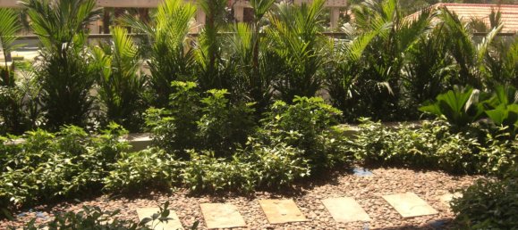 1 bedroom Condo in Pattaya, Thailand No. 3767 13