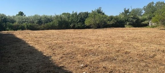 Grundstück in Palestrina, Italy, Nr. 334814 5