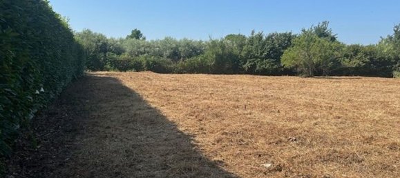 Grundstück in Palestrina, Italy, Nr. 334814 4