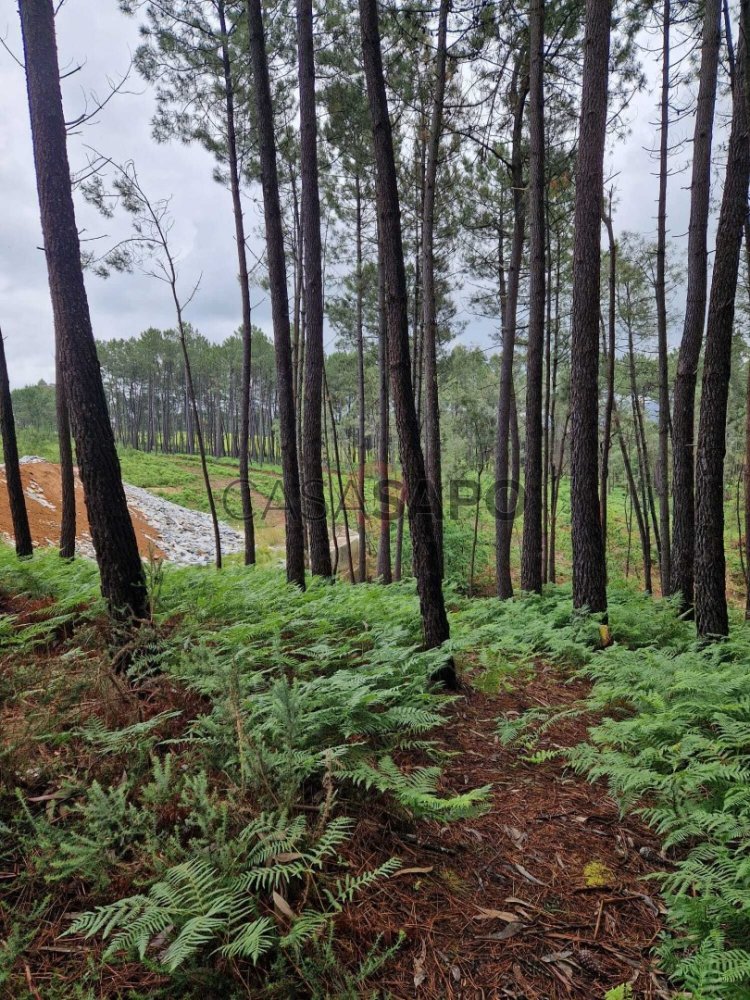 Земельный участок в Монсан, Португалия № 328054