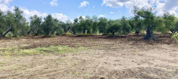 10 rooms House in Guardistallo, Italy No. 237035 48