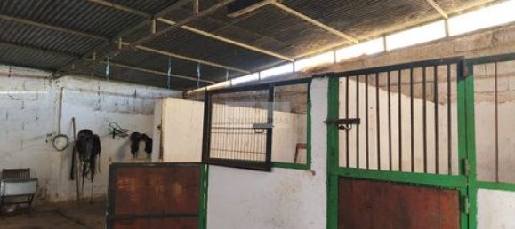 3 bedrooms House in Lagos, Portugal No. 149679 8