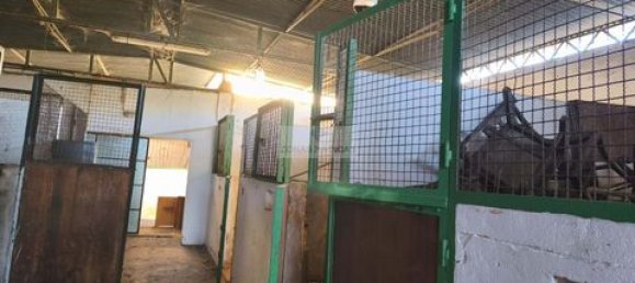 3 bedrooms House in Lagos, Portugal No. 149679 9