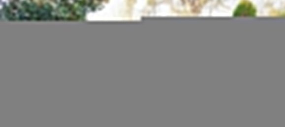 4 غرف نوم منزل في Saint-Laurent-Nouan, France رقم 70611 2