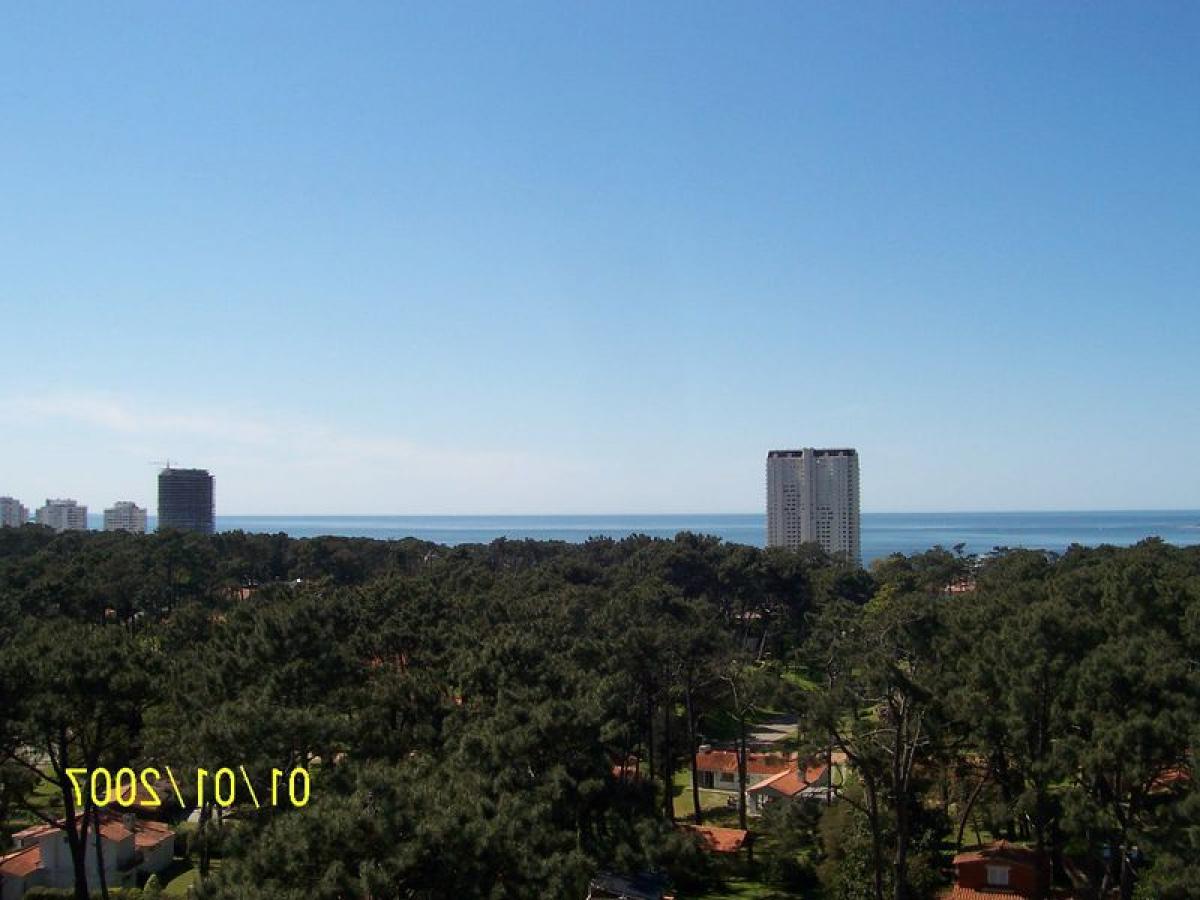 3 bedrooms Apartment in Maldonado, Uruguay No. 11429