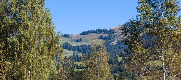  Land in Kitzbuhel, Austria No. 166058 6