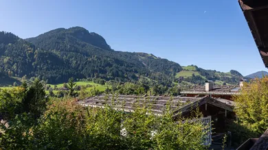  Land in Kitzbuhel, Austria No. 166058