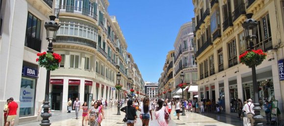 2 bedrooms Apartment in Malaga, Spain No. 160115 25