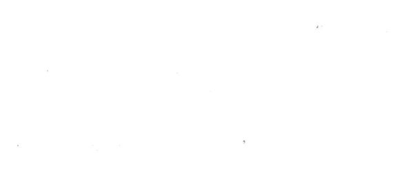 4 rooms Apartment in Turin, Italy No. 137220 14