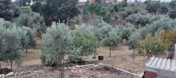 2 Schlafzimmer Haus in Serta, Portugal, Nr. 31451 11