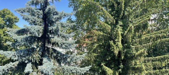 Apartamento de 3 habitaciónes en Baden, Austria No. 151147 3