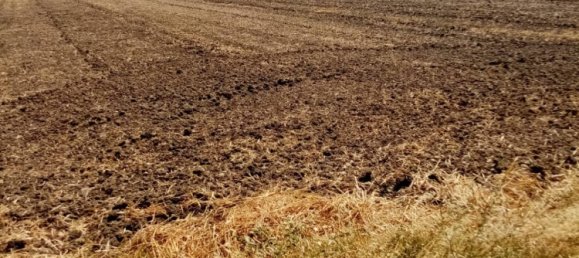 8000m² Land in Capaccio Paestum, Italy No. 84399 3