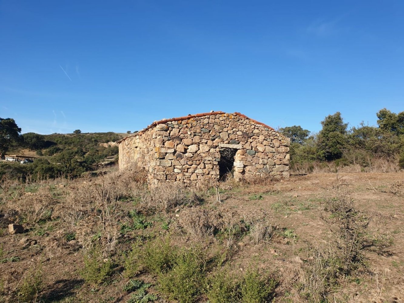  قطعة أرض في Aggius, Italy رقم 370844