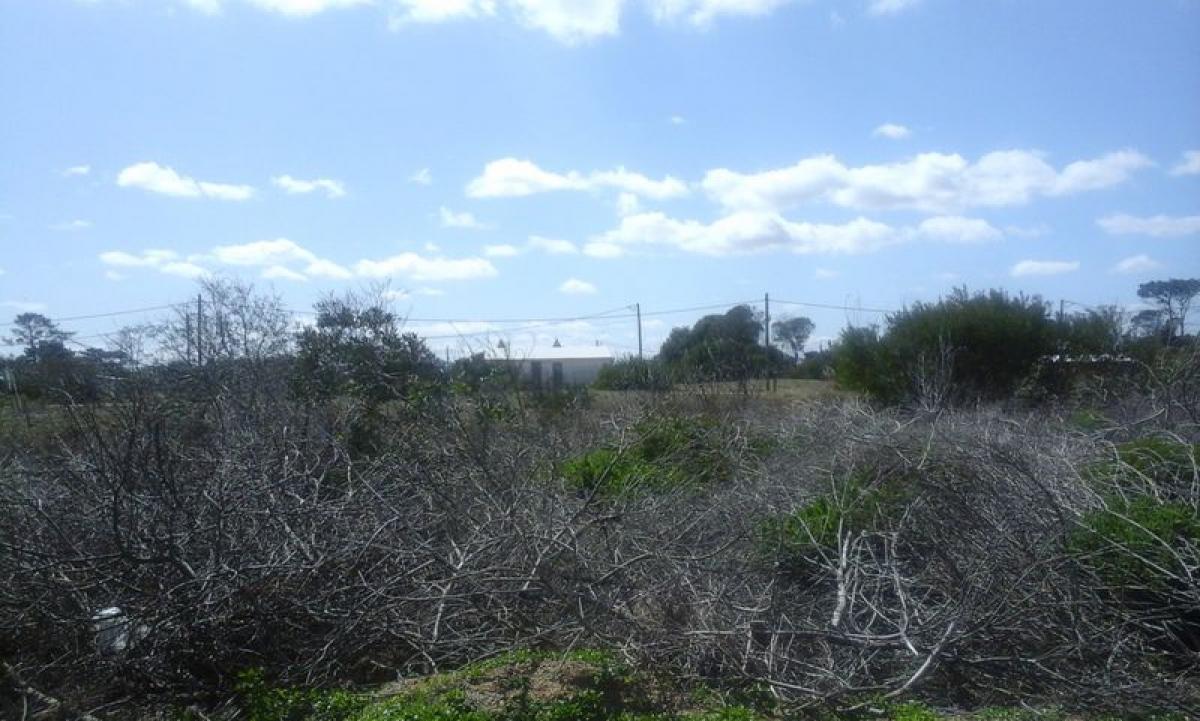 Terreno en Maldonado, Uruguay No. 13940