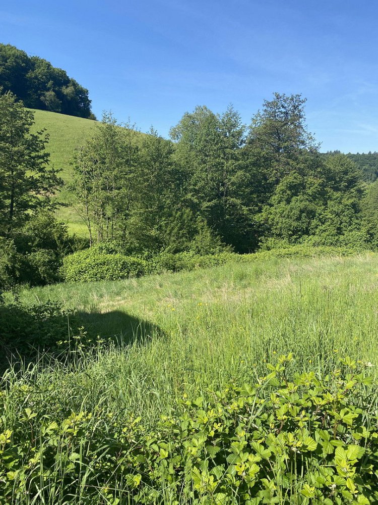 Grundstück in Bergstraße, Germany, Nr. 361945