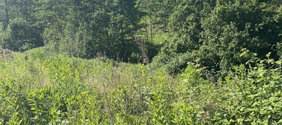 Grundstück in Bergstraße, Germany, Nr. 361945 2