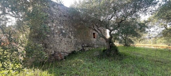 Casa de 2 habitaciónes en Cisternino, Italy No. 80219 8