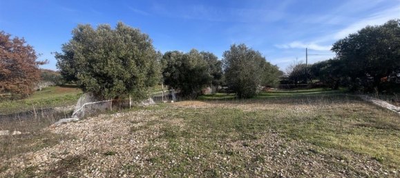 Casa de 2 habitaciónes en Cisternino, Italy No. 80219 27